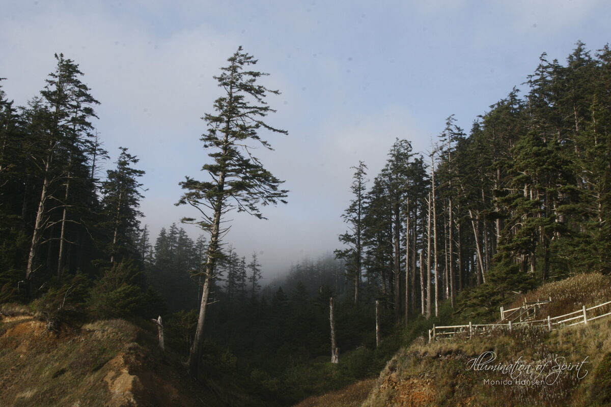 Photograph — Landscape