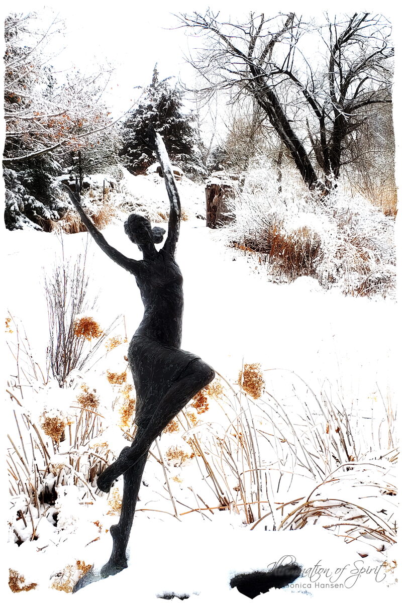 Photograph — Nature & Outdoors