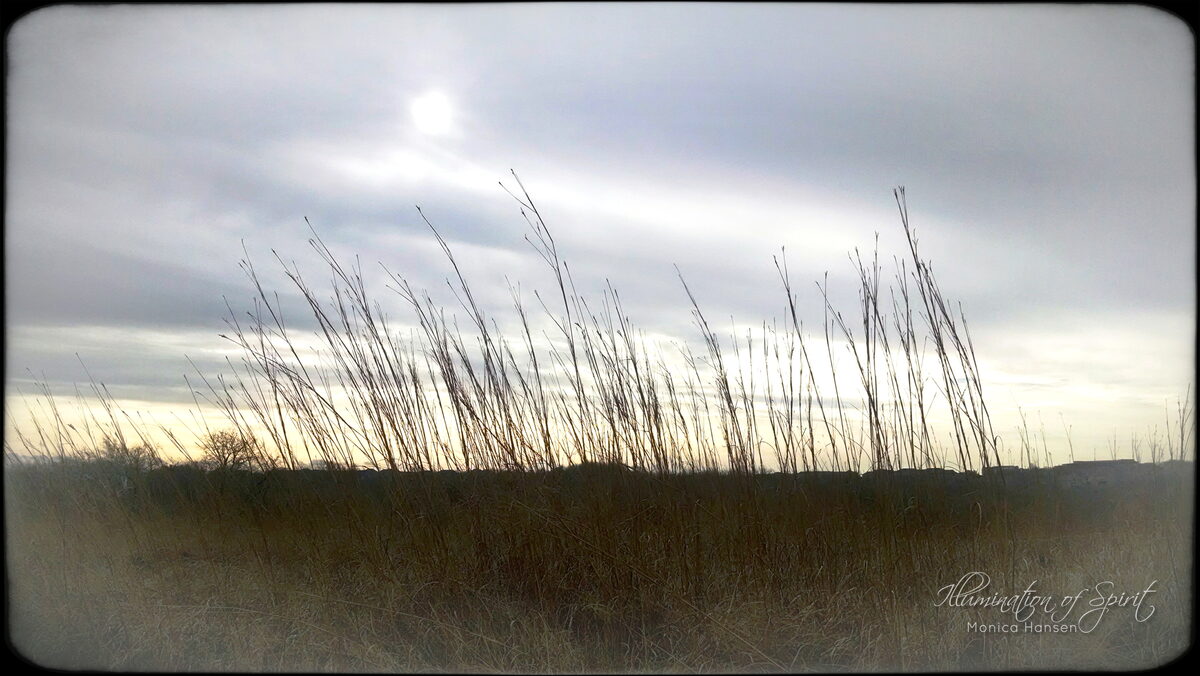 Photograph — Sun and Sky