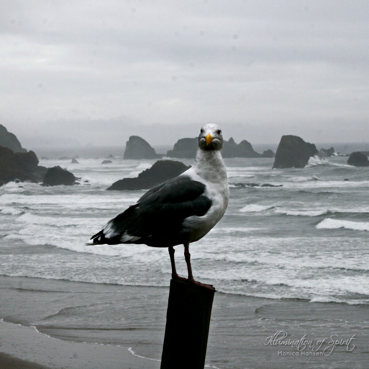 Photograph — Lakes - Rivers - Oceans