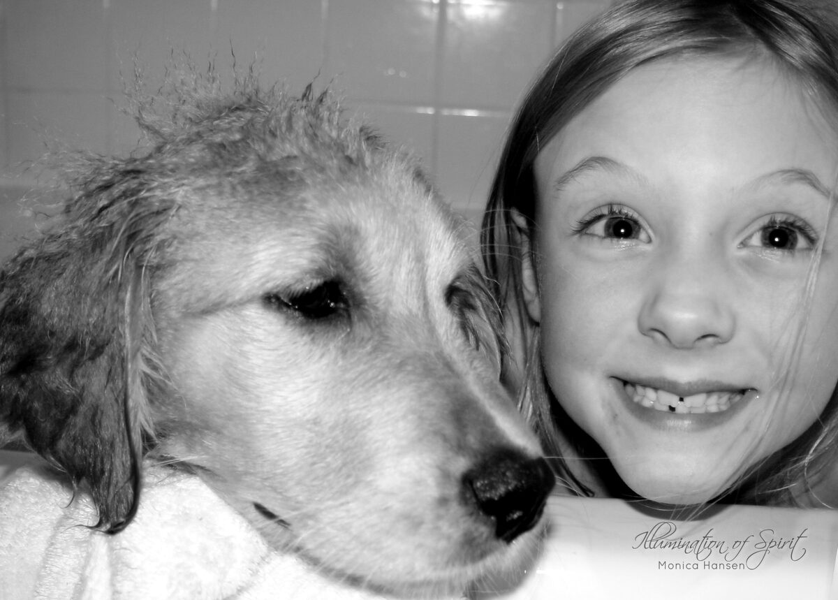 Photograph — Animal Companions