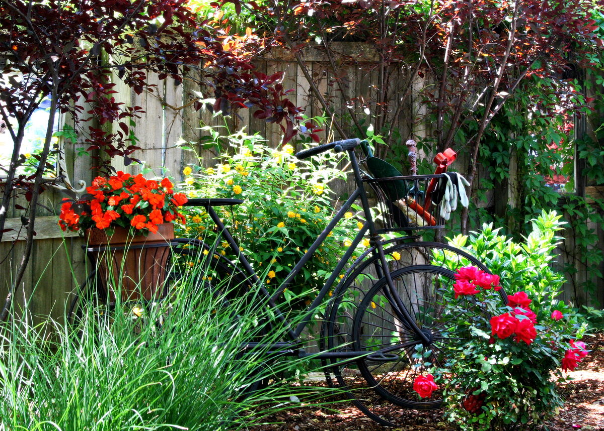 Photograph — Flowers & Gardens