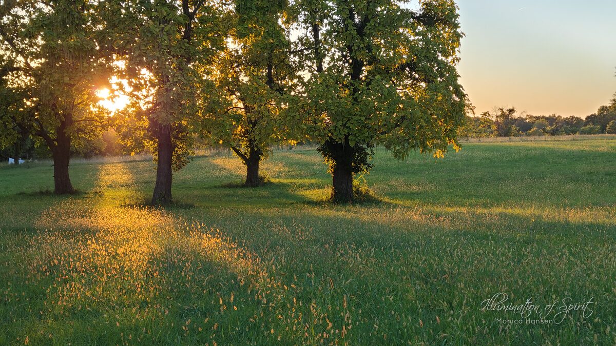 Photograph — Landscape