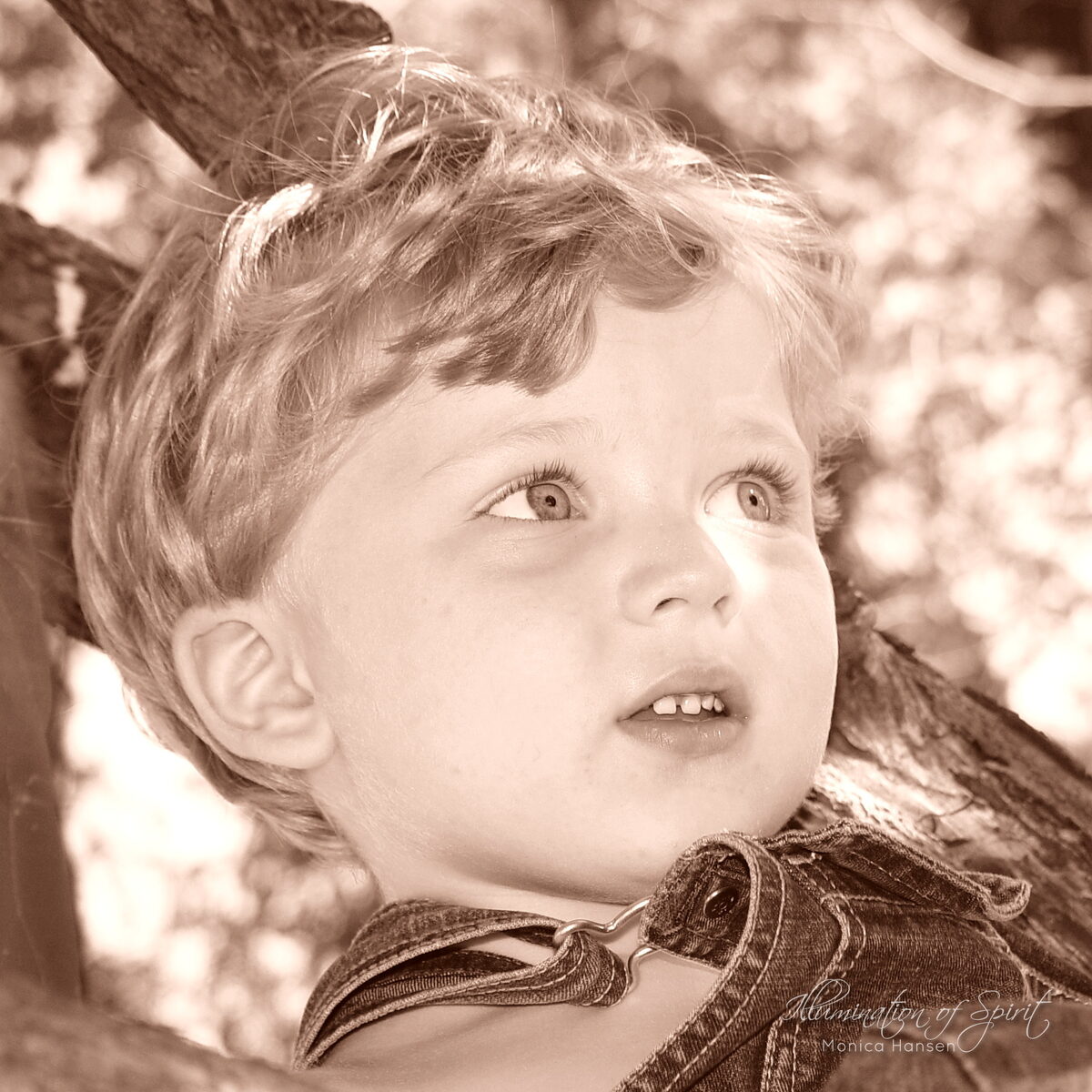 Photograph — Kids