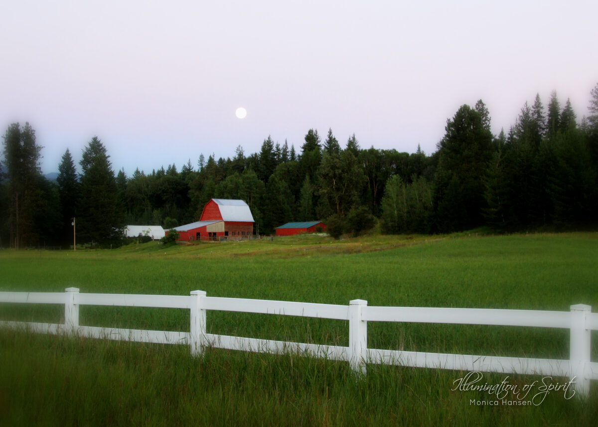 Photograph — Landscape