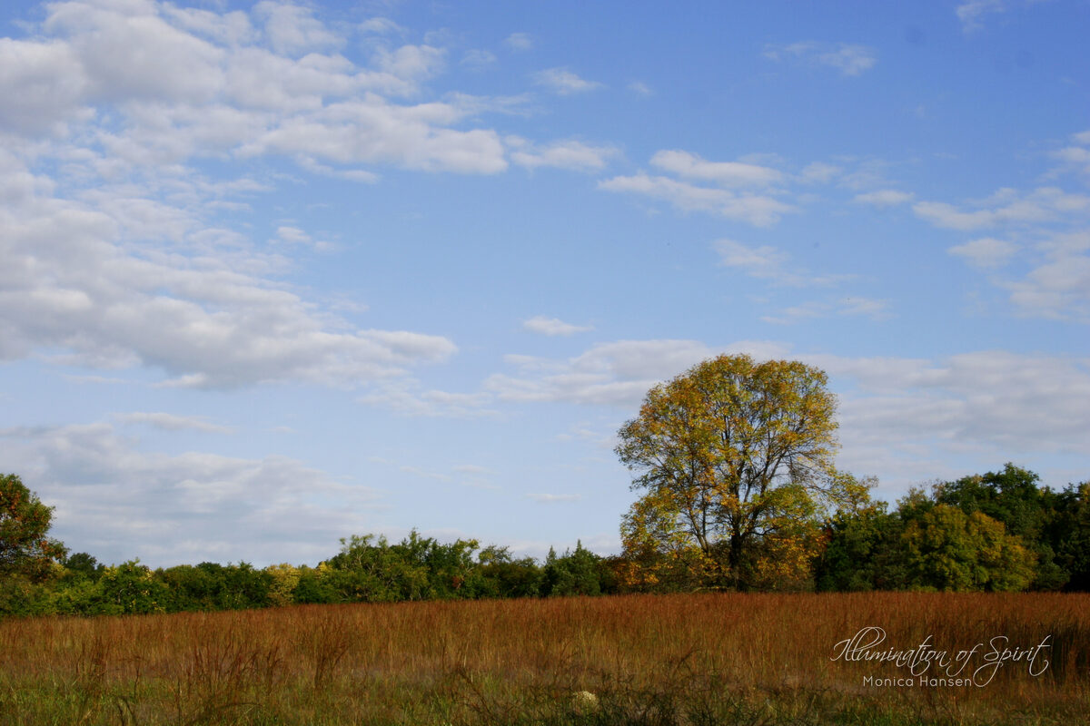 Photograph — Landscape