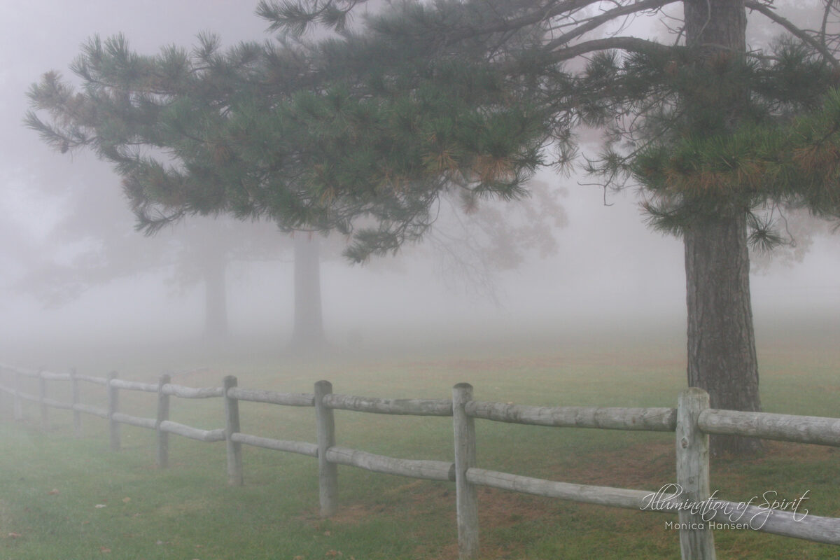 Photograph — Landscape
