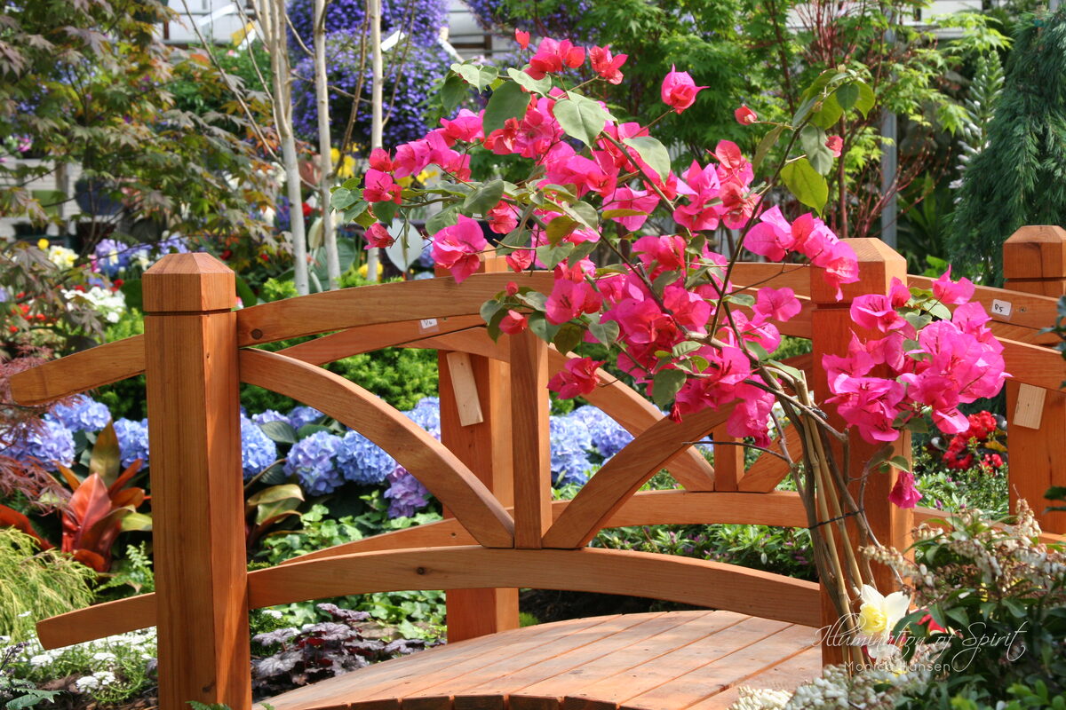 Photograph — Flowers & Gardens