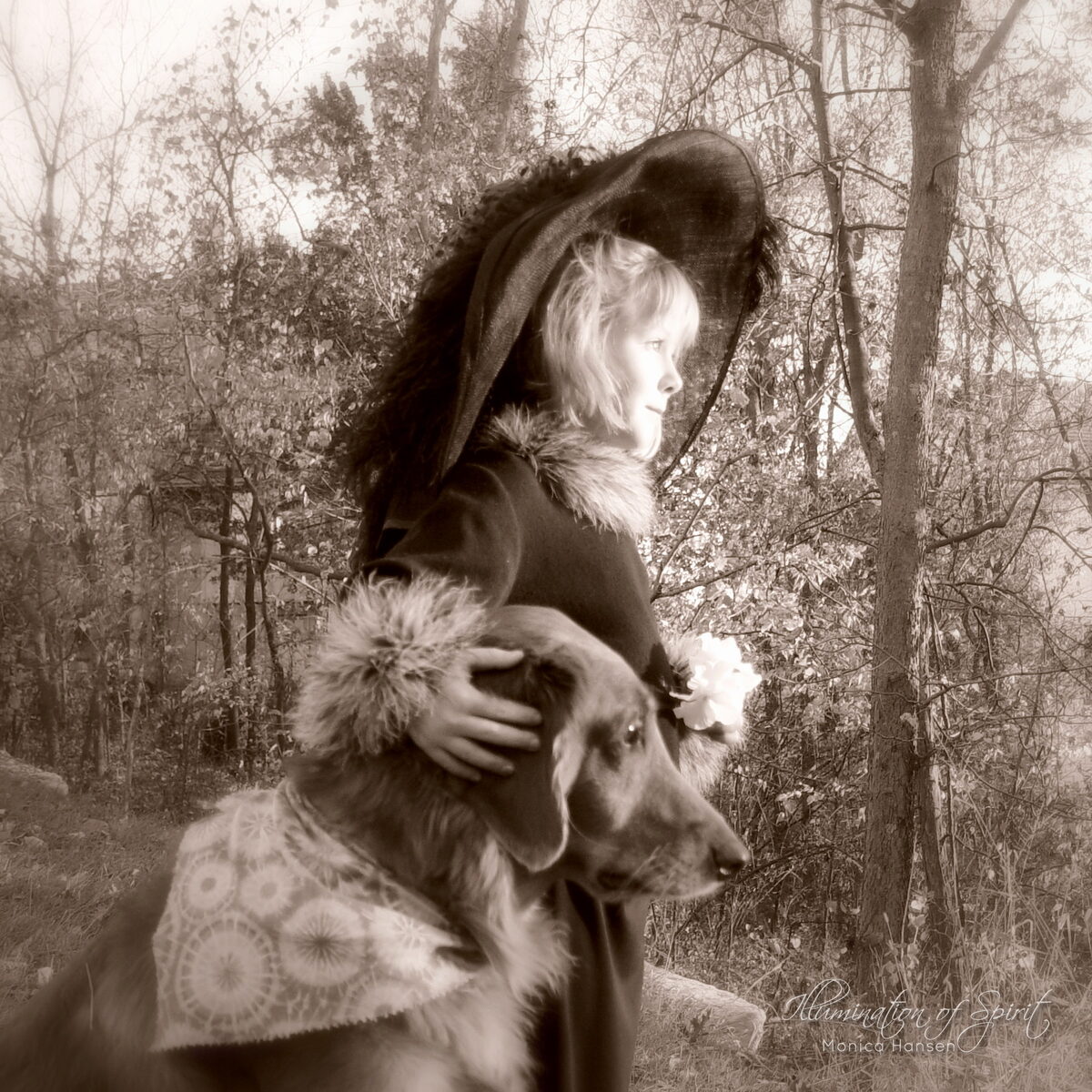 Photograph — Animal Companions