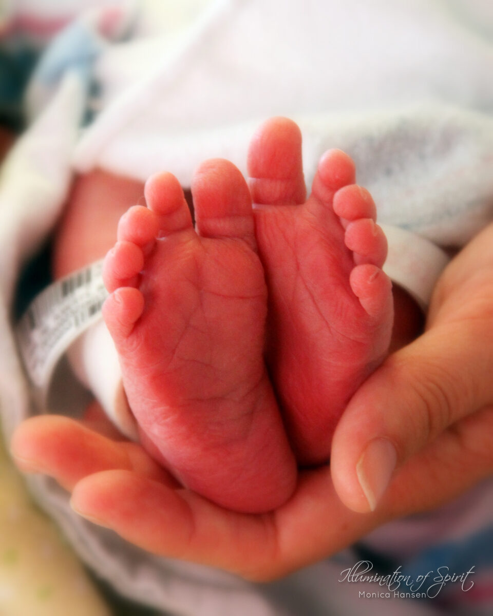 Photograph — Infants