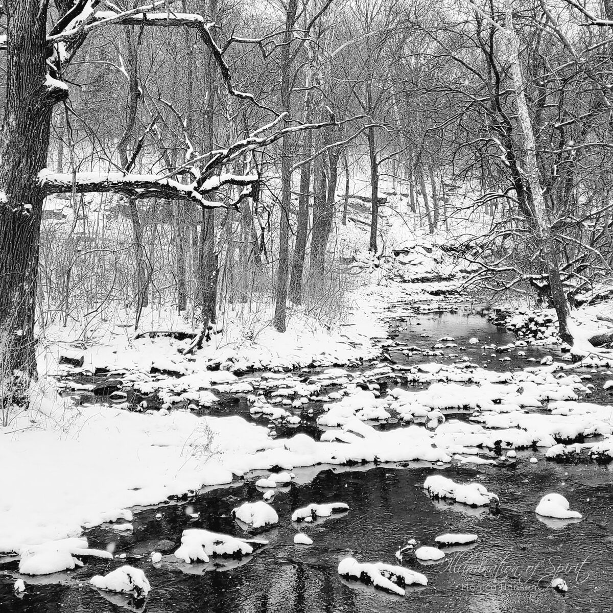 Photograph — Nature & Outdoors