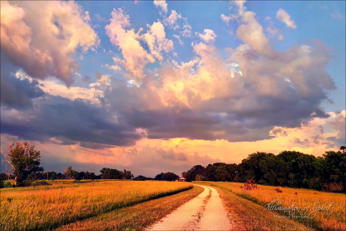 Photograph — Sun and Sky