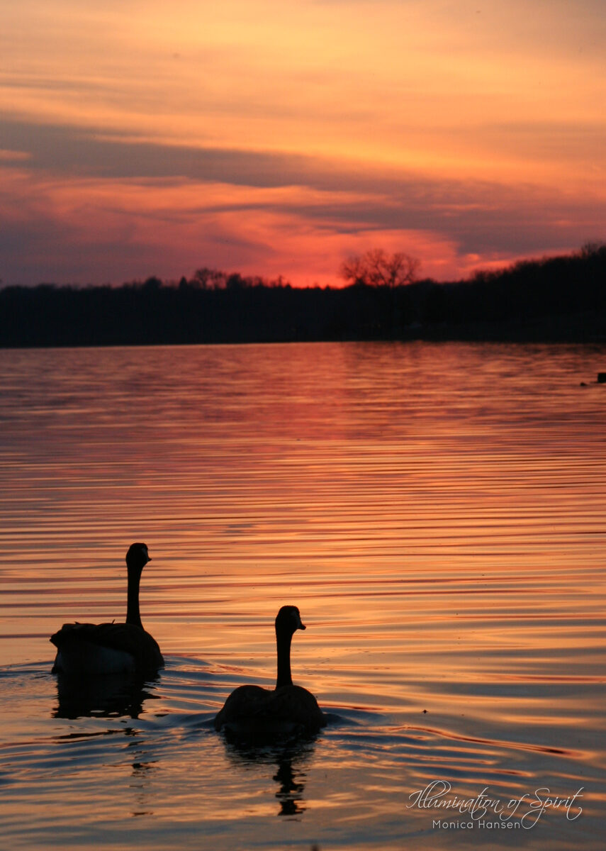 Photograph — Lakes - Rivers - Oceans