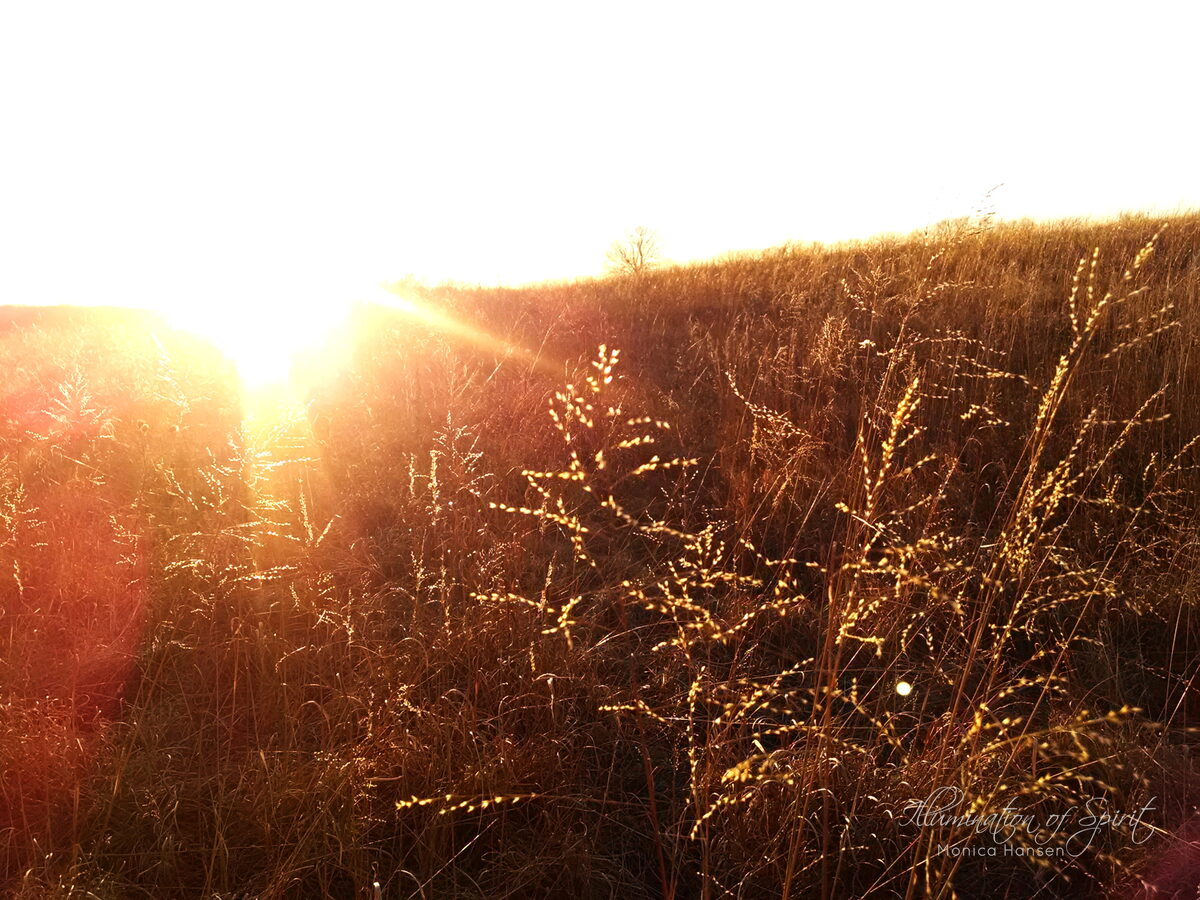 Photograph — Sun and Sky