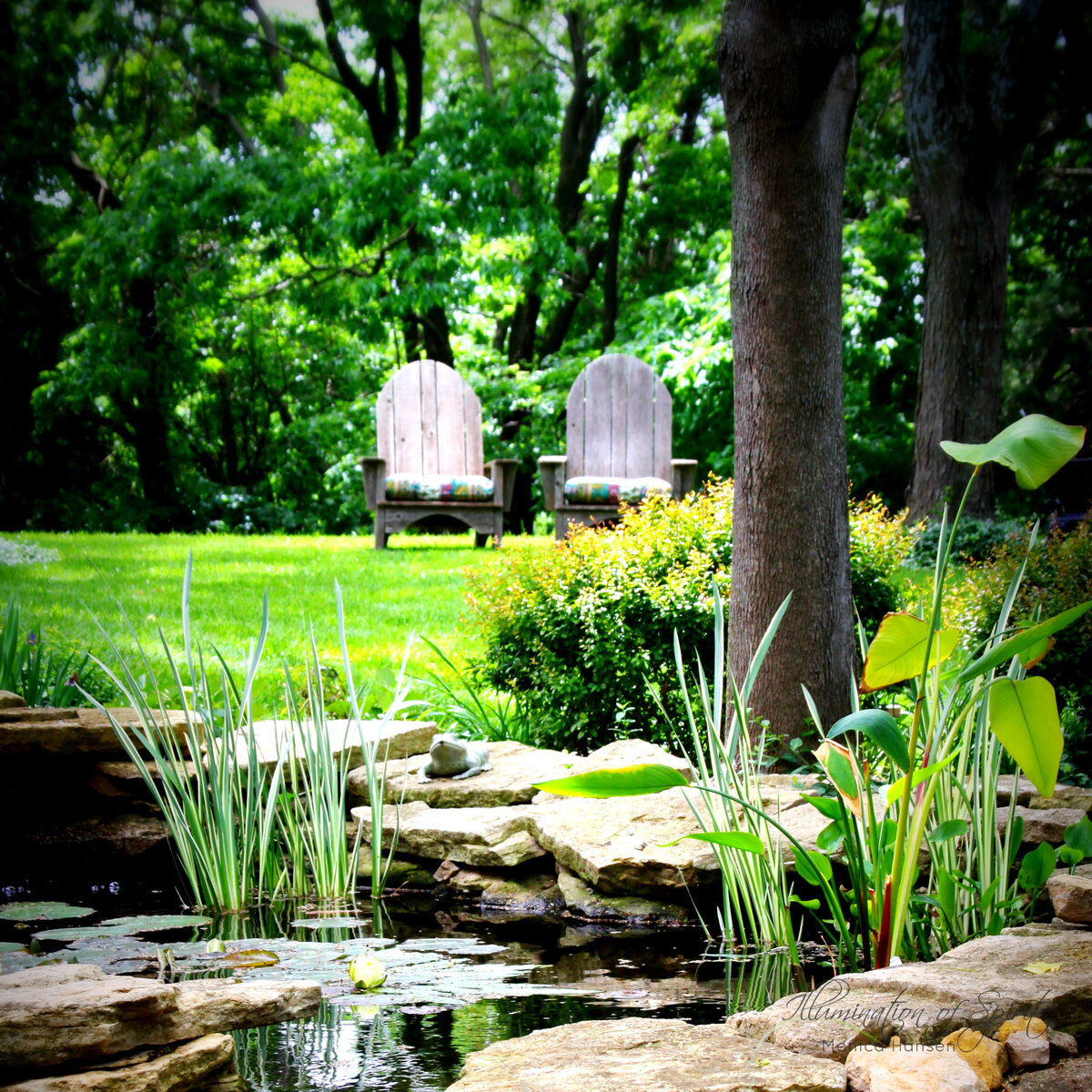 Photograph — Nature & Outdoors
