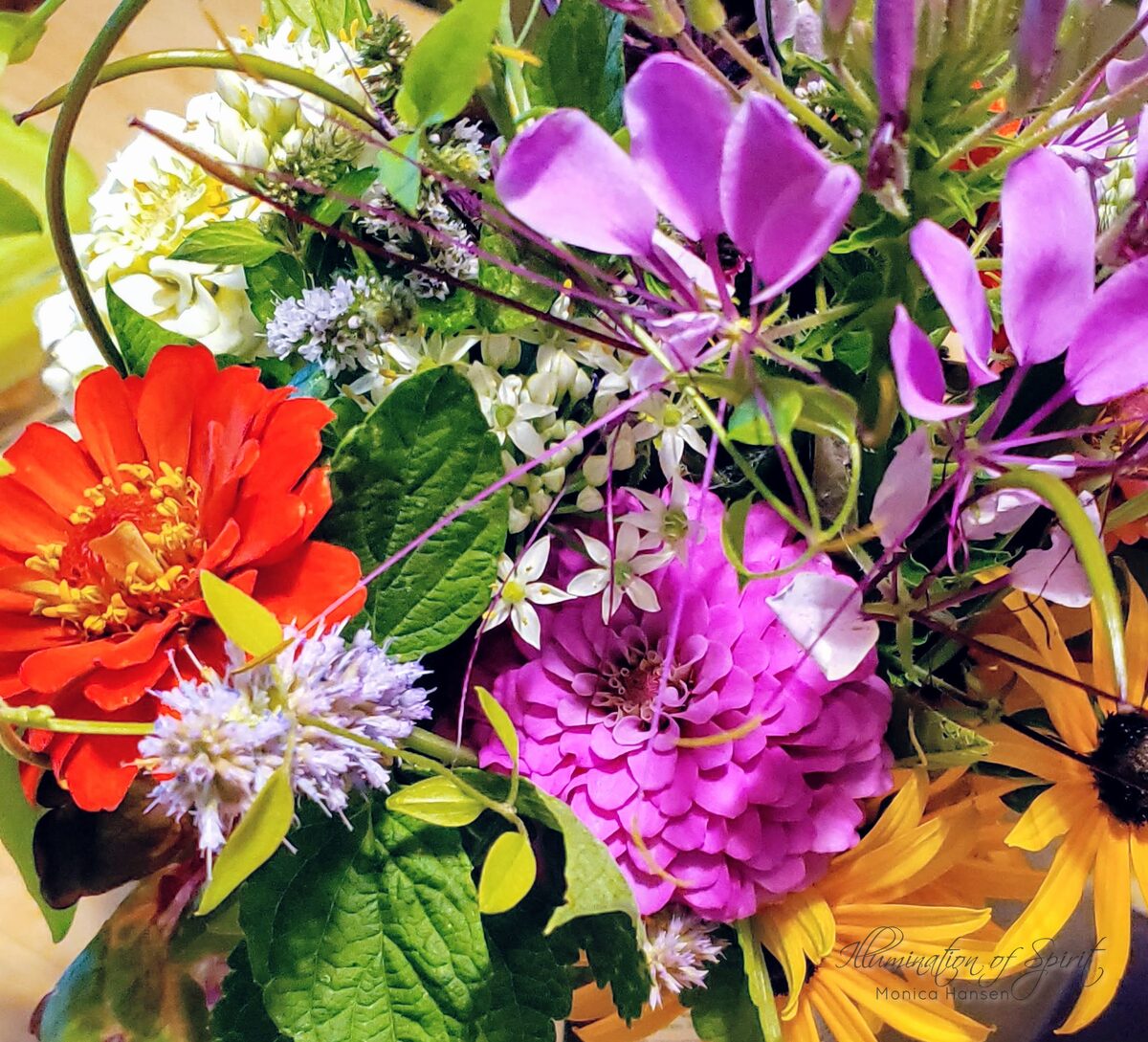 Photograph — Flowers & Gardens