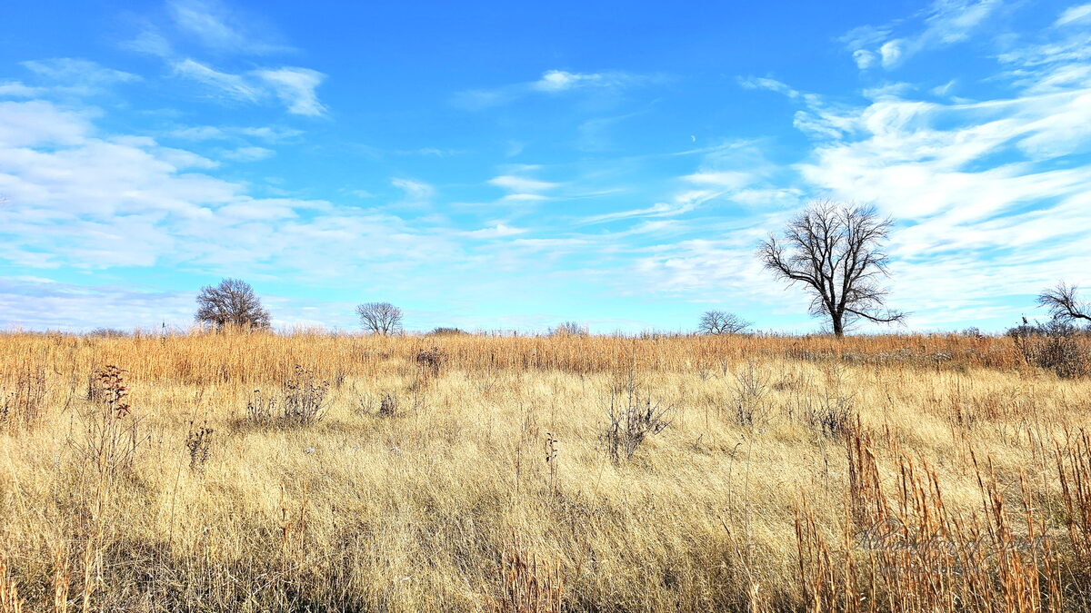 Photograph — Landscape