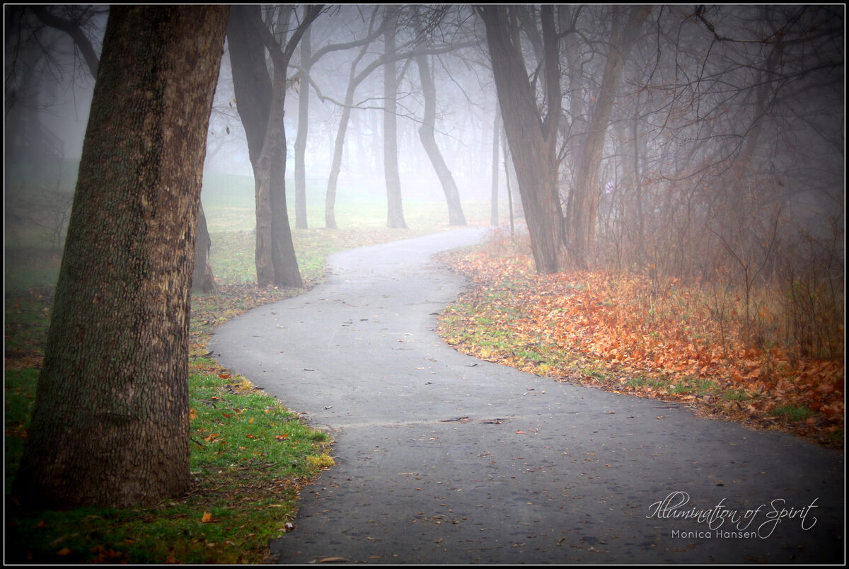 Photograph — Nature & Outdoors