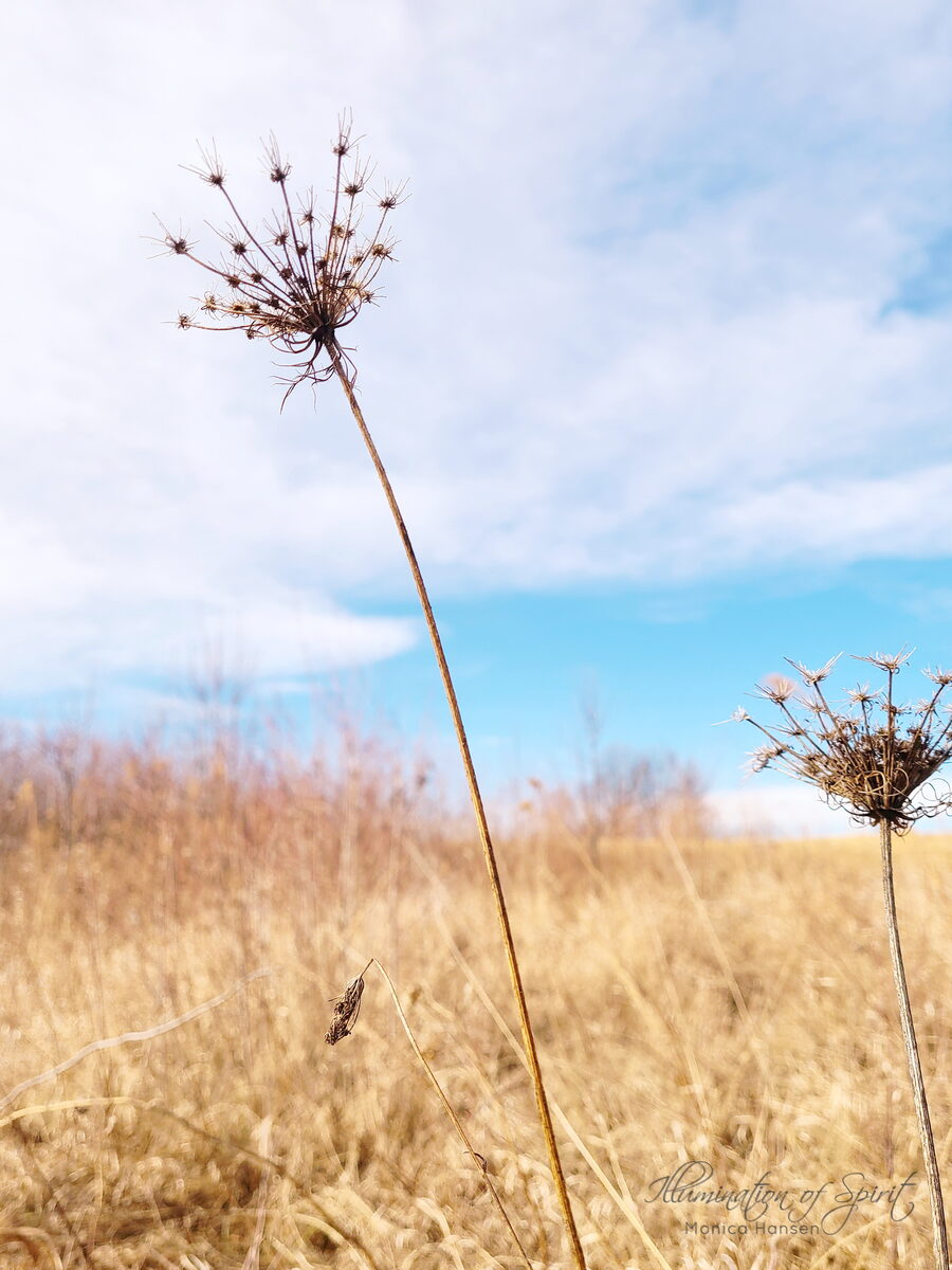 Photograph — Landscape