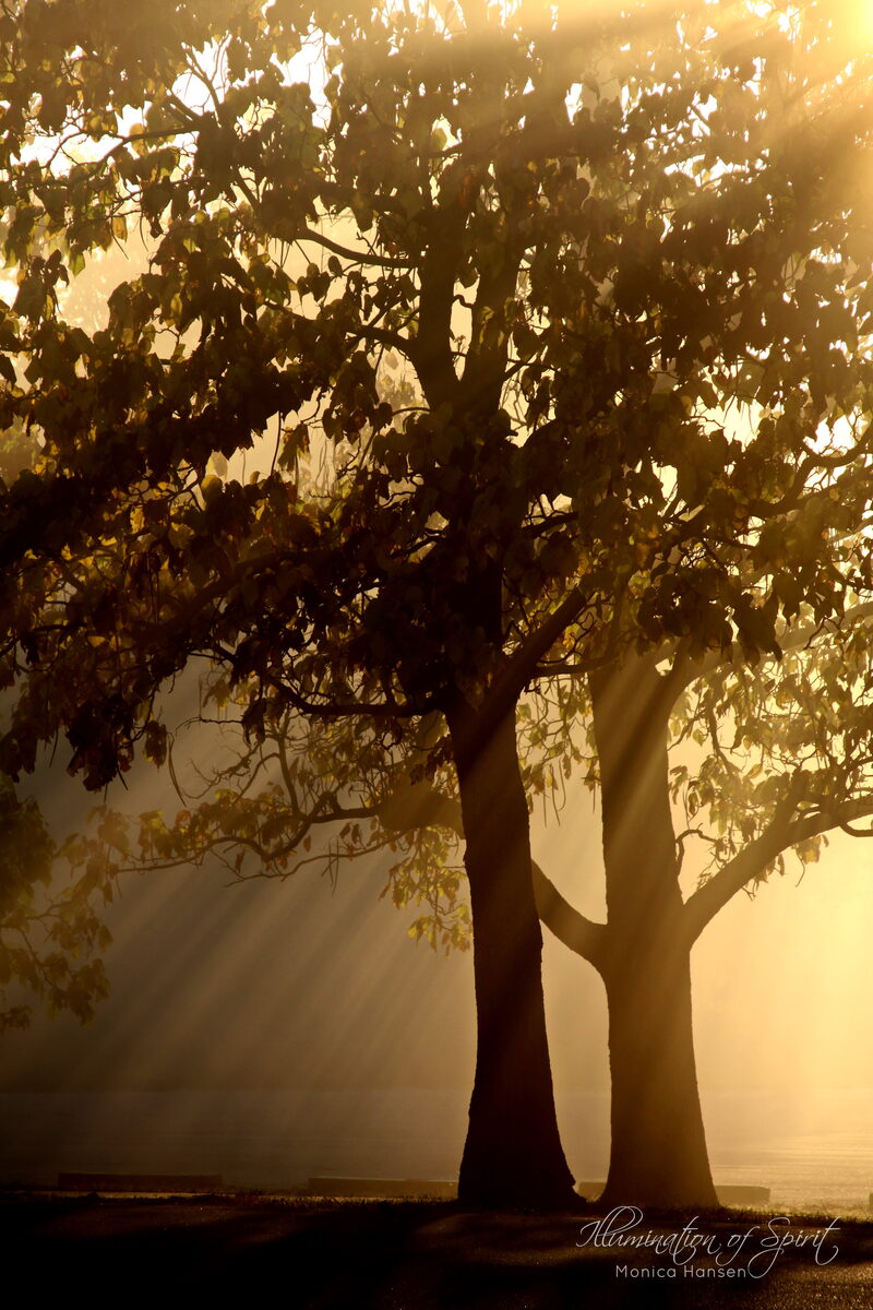 Photograph — Sun and Sky