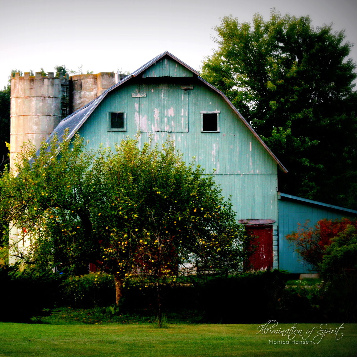 Photograph — Landscape