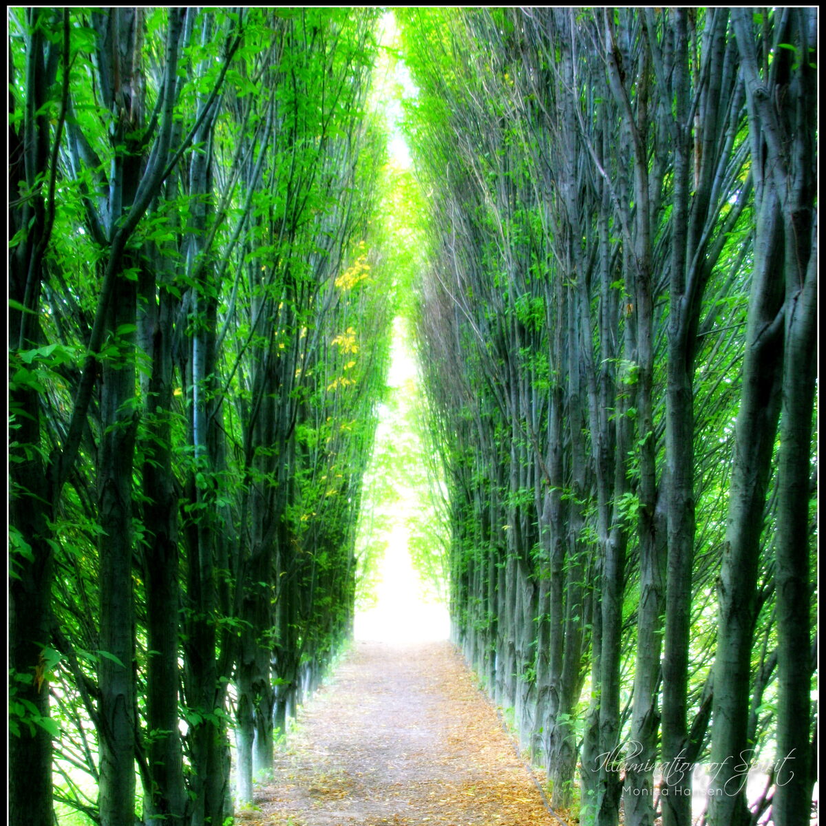 Photograph — Nature & Outdoors