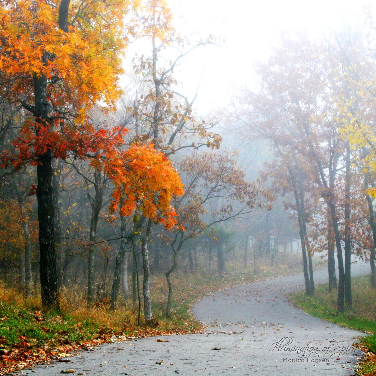 Photograph — Nature & Outdoors