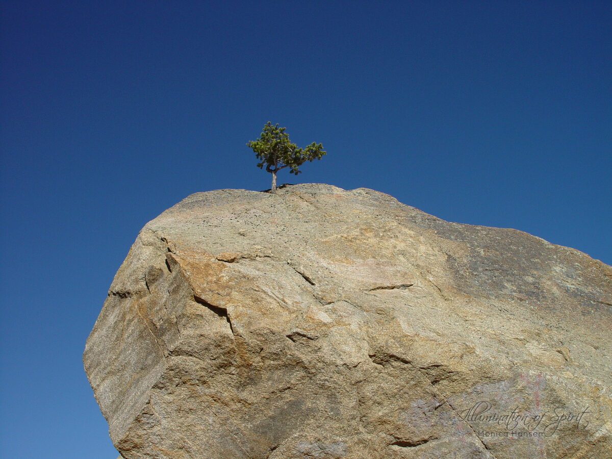 Photograph — Nature & Outdoors