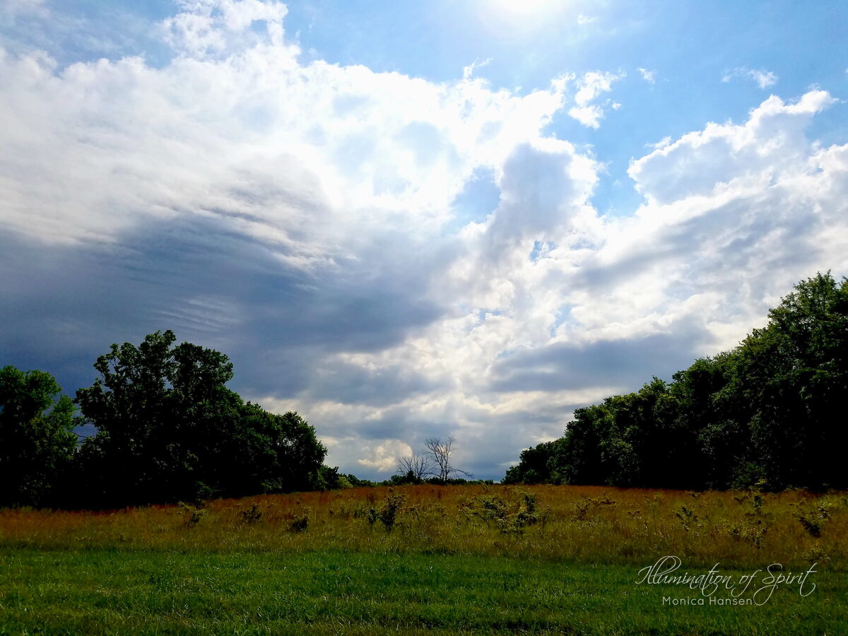 Photograph — Sun and Sky