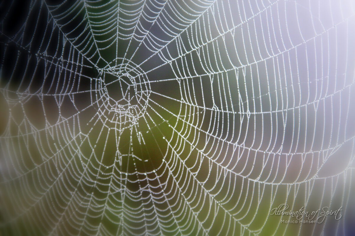 Photograph — Nature & Outdoors