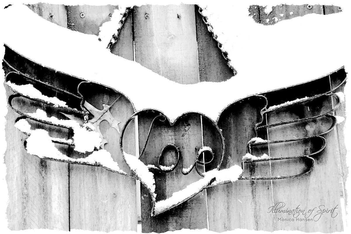 Photograph — Love