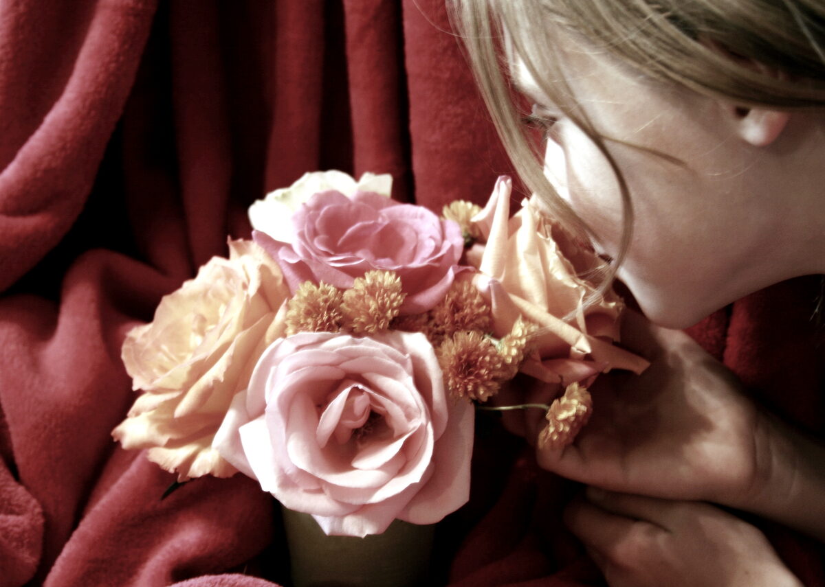 Photograph — Flowers & Gardens