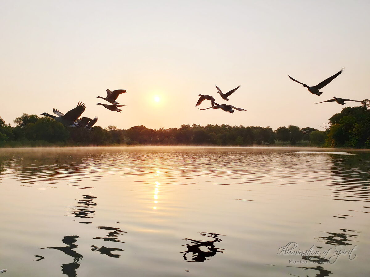 Photograph — Lakes - Rivers - Oceans