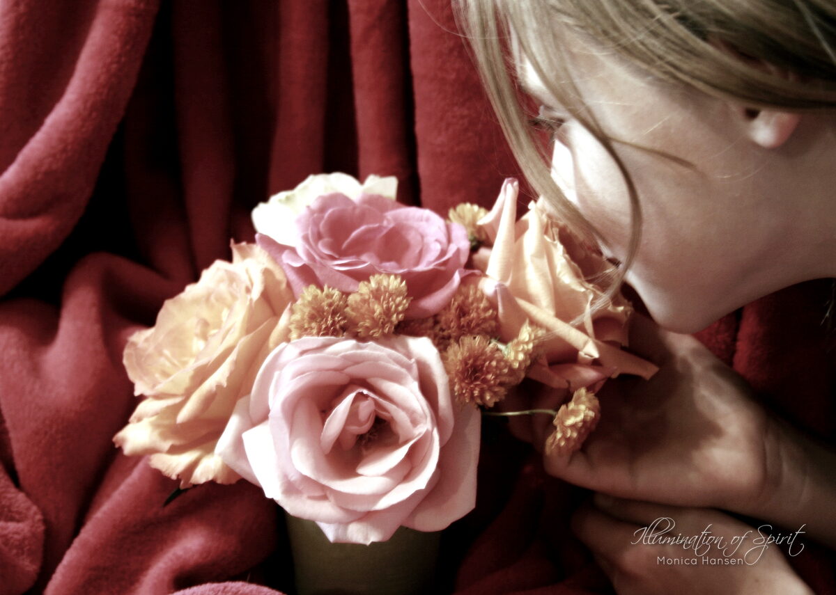 Photograph — Flowers & Gardens