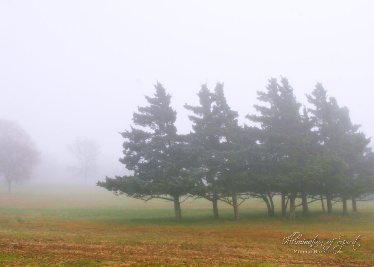 Photograph — Nature & Outdoors