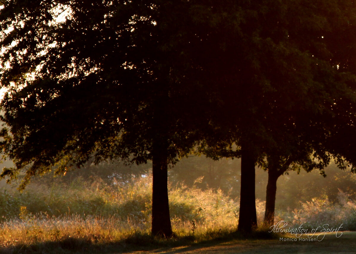 Photograph — Landscape