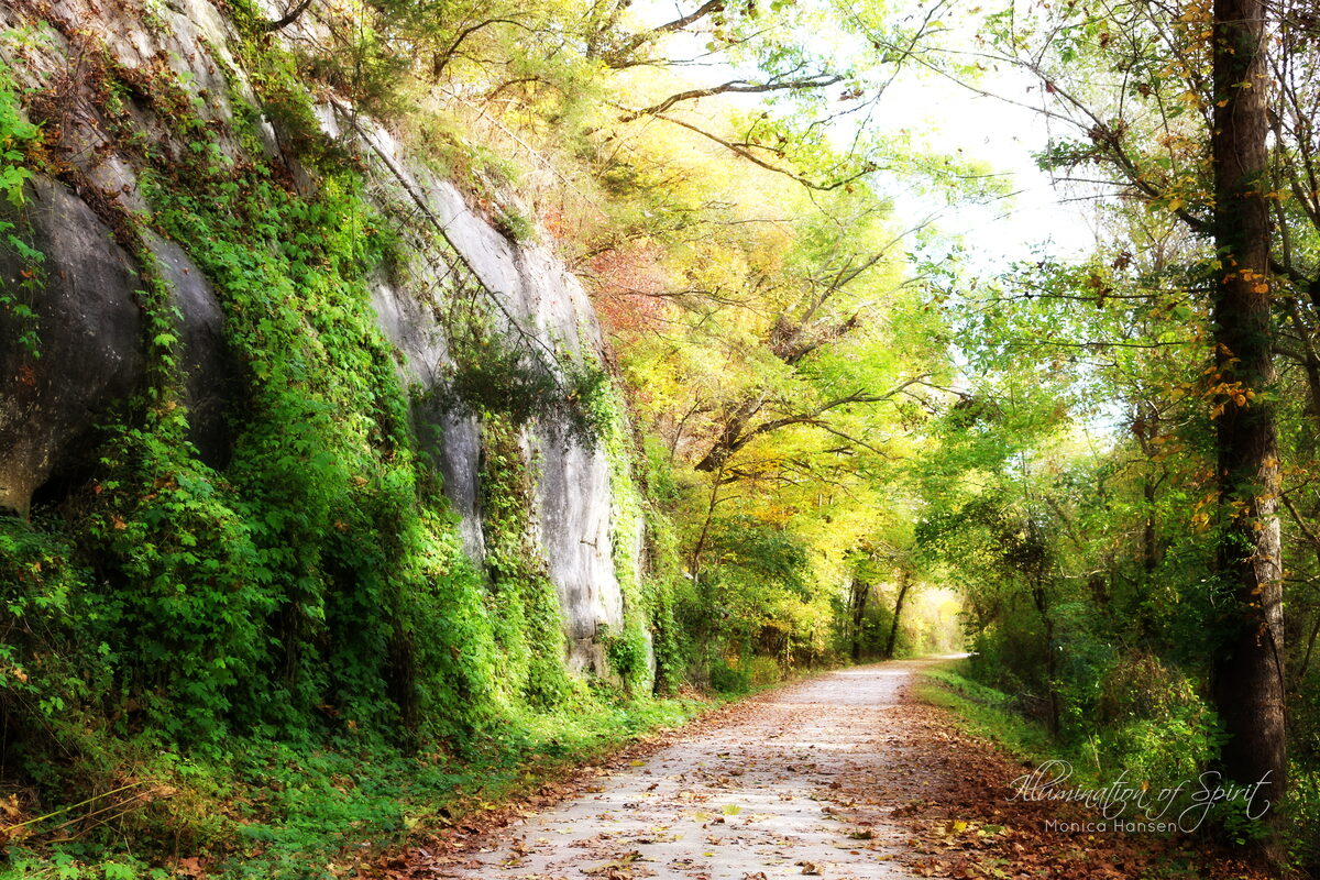 Photograph — Landscape