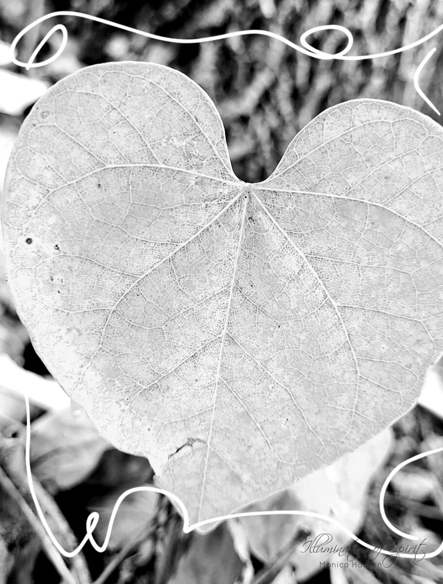 Photograph — Love