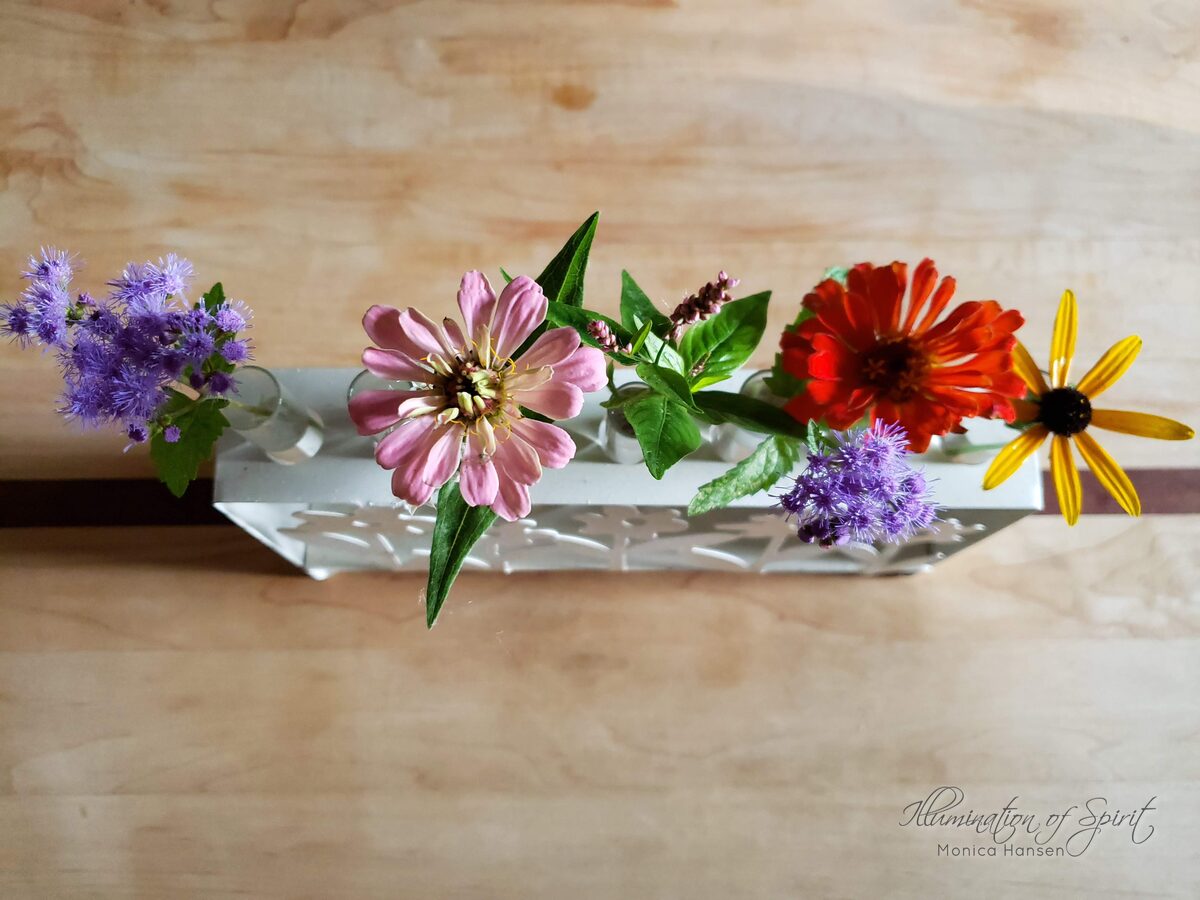 Photograph — Flowers & Gardens