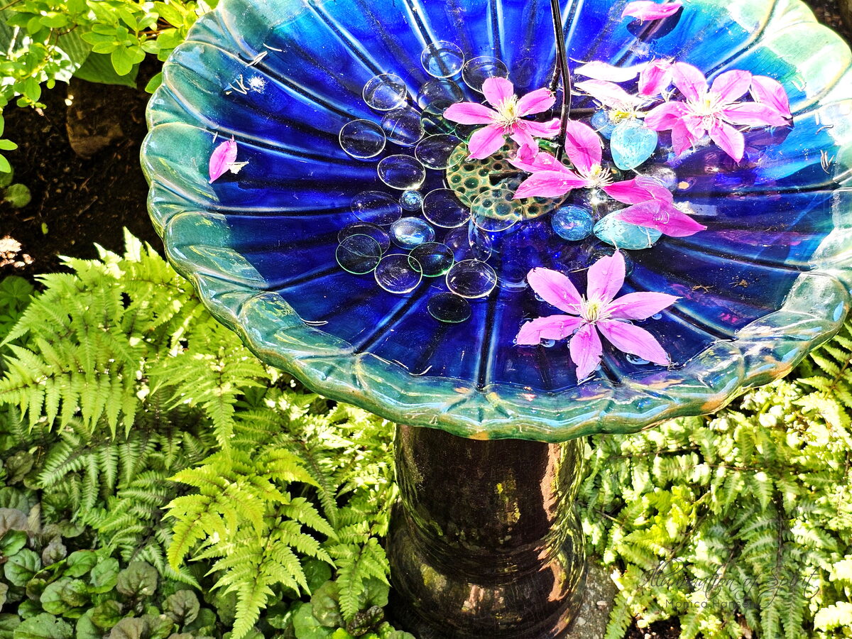 Photograph — Flowers & Gardens