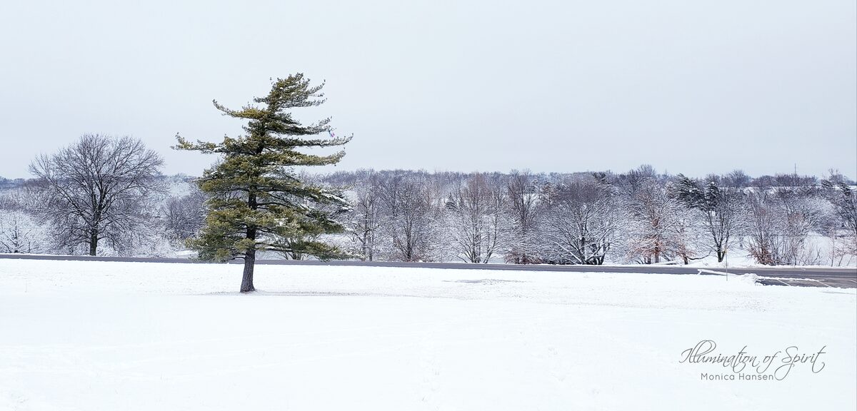 Photograph — Landscape