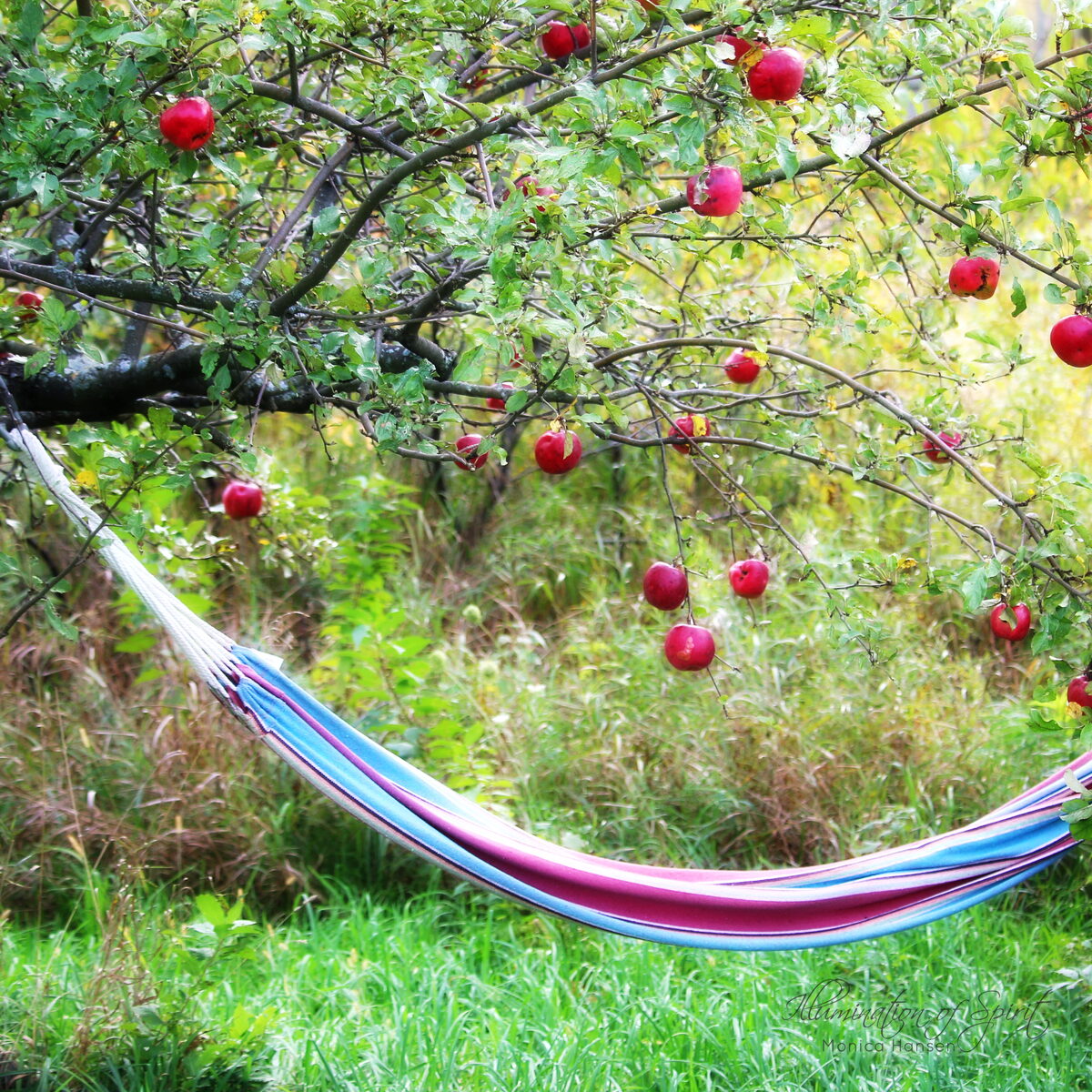 Photograph — Nature & Outdoors