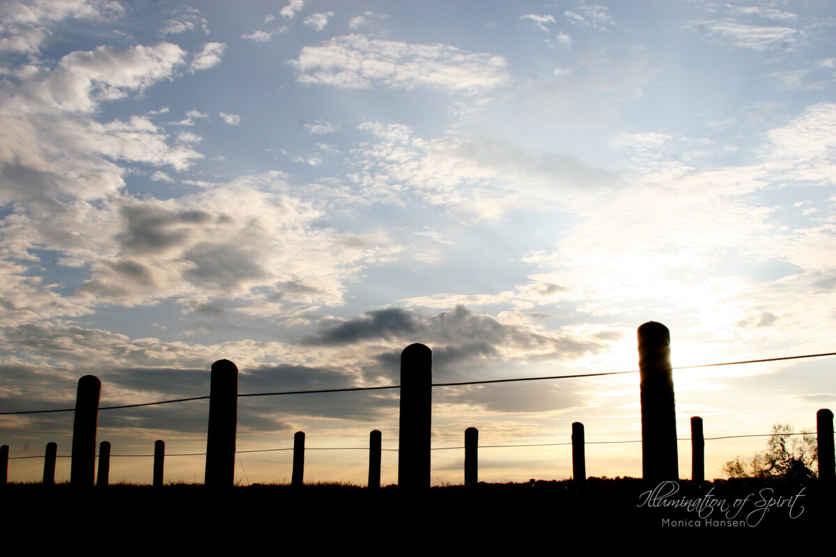 Photograph — Landscape