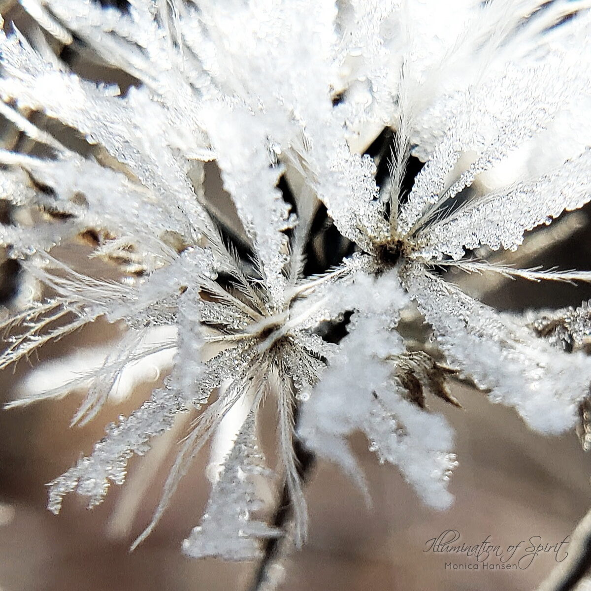 Photograph — Nature & Outdoors