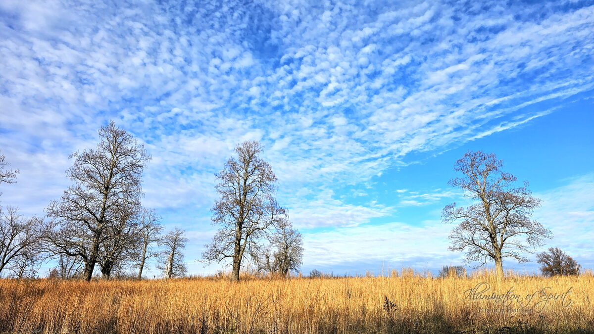 Photograph — Landscape