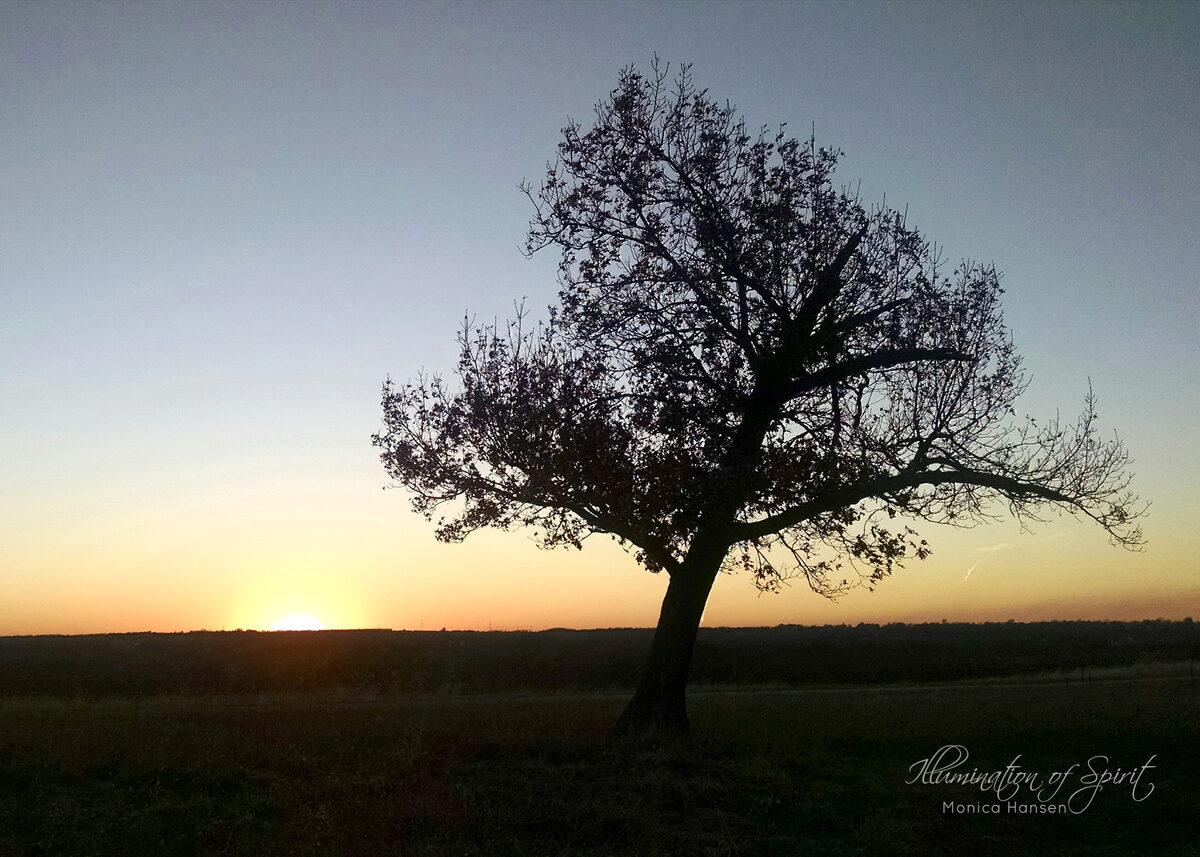 Photograph — Sun and Sky