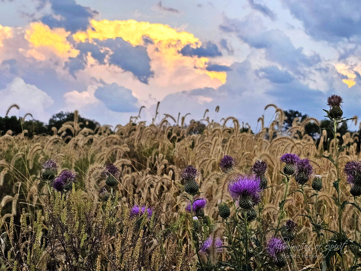 Photograph — Sun and Sky
