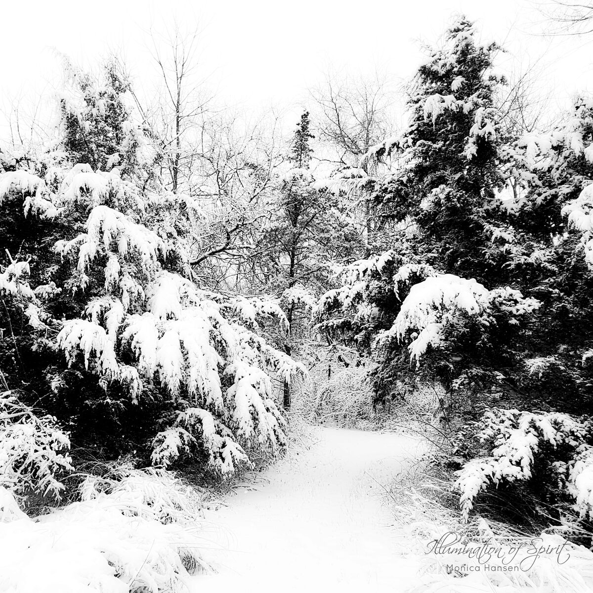 Photograph — Nature & Outdoors