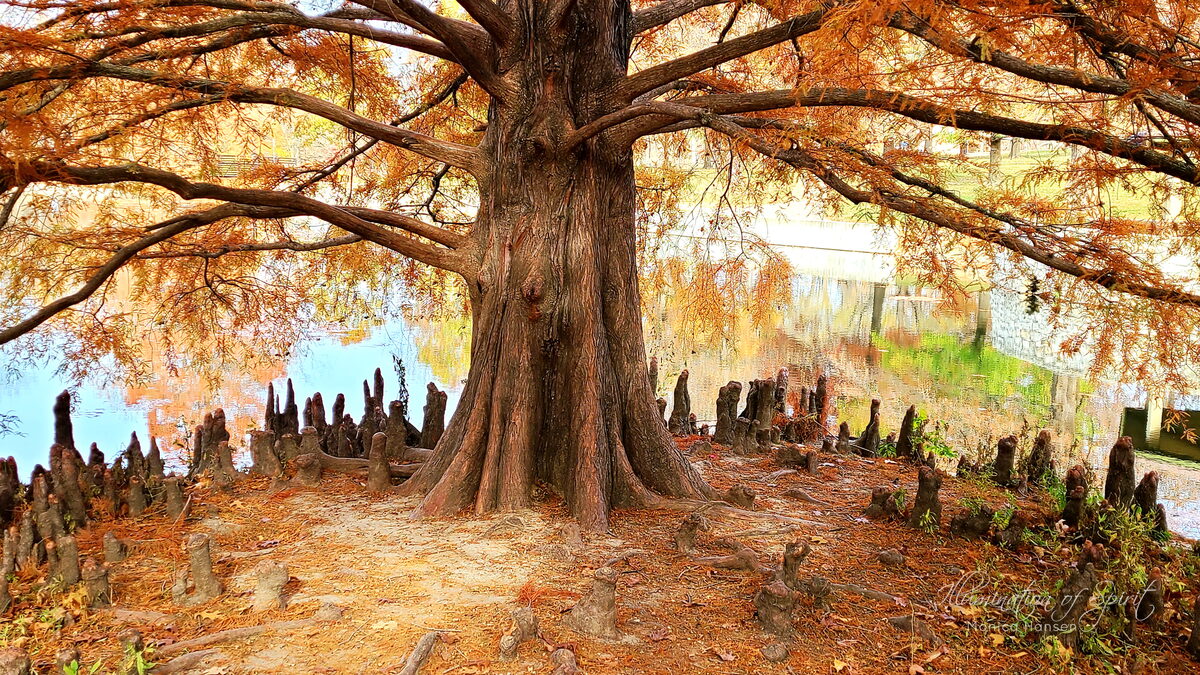 Photograph — Nature & Outdoors