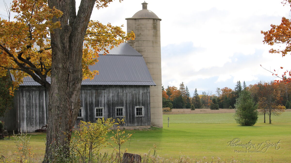 Photograph — Landscape